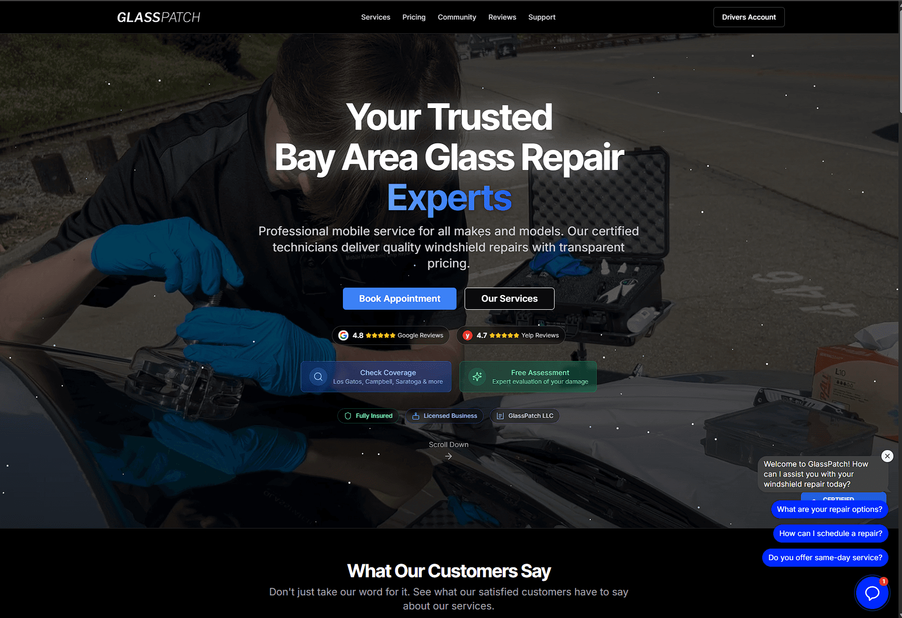 Auto glass repair website homepage